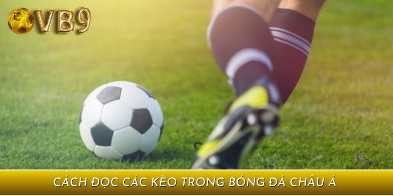 Cách đọc các kèo trong bóng đá dạng đồng banh nửa trái