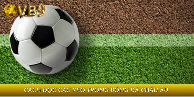 Châu Âu được yêu thích nhiều bởi dễ đọc
