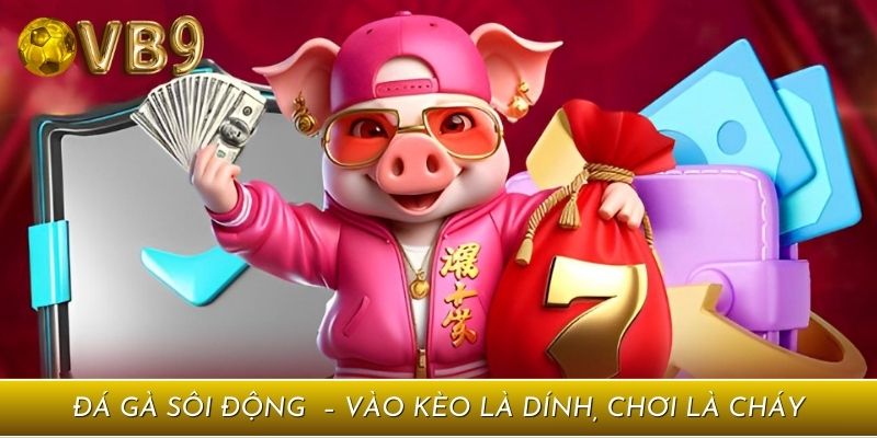 Đá gà sôi động tại nhà cái – Vào kèo là dính, chơi là cháy