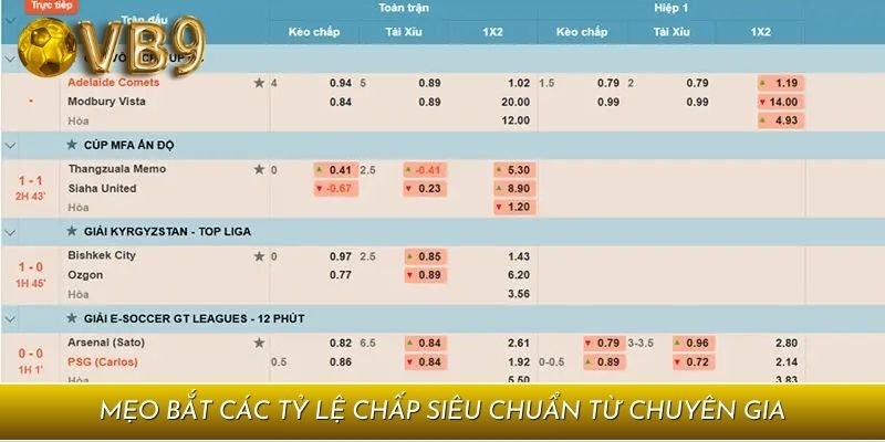 Mẹo bắt các tỷ lệ chấp siêu chuẩn từ chuyên gia