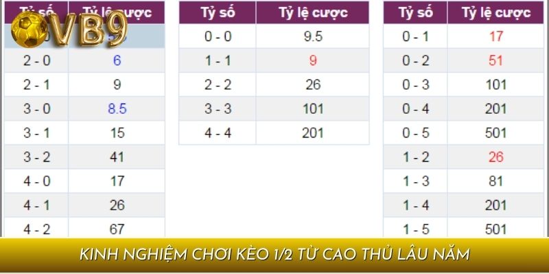 Kinh nghiệm chơi kèo 1/2 từ cao thủ lâu năm