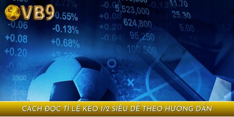 Cách đọc tỉ lệ kèo 1/2 siêu dễ theo hướng dẫn