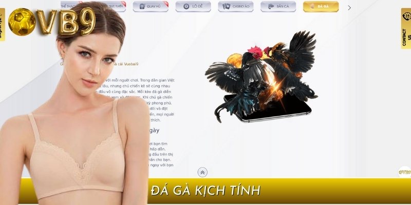 Sảnh đá gà là nơi mà kê thủ sẽ được tận mắt chứng kiến các pha giao tranh