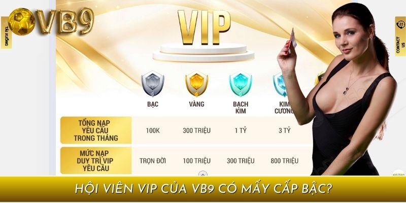 Vuabai9 sở hữu 5 cấp bậc thành viên VIP theo từng tài khoản